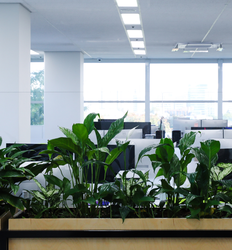 Maternity / Paternity leave